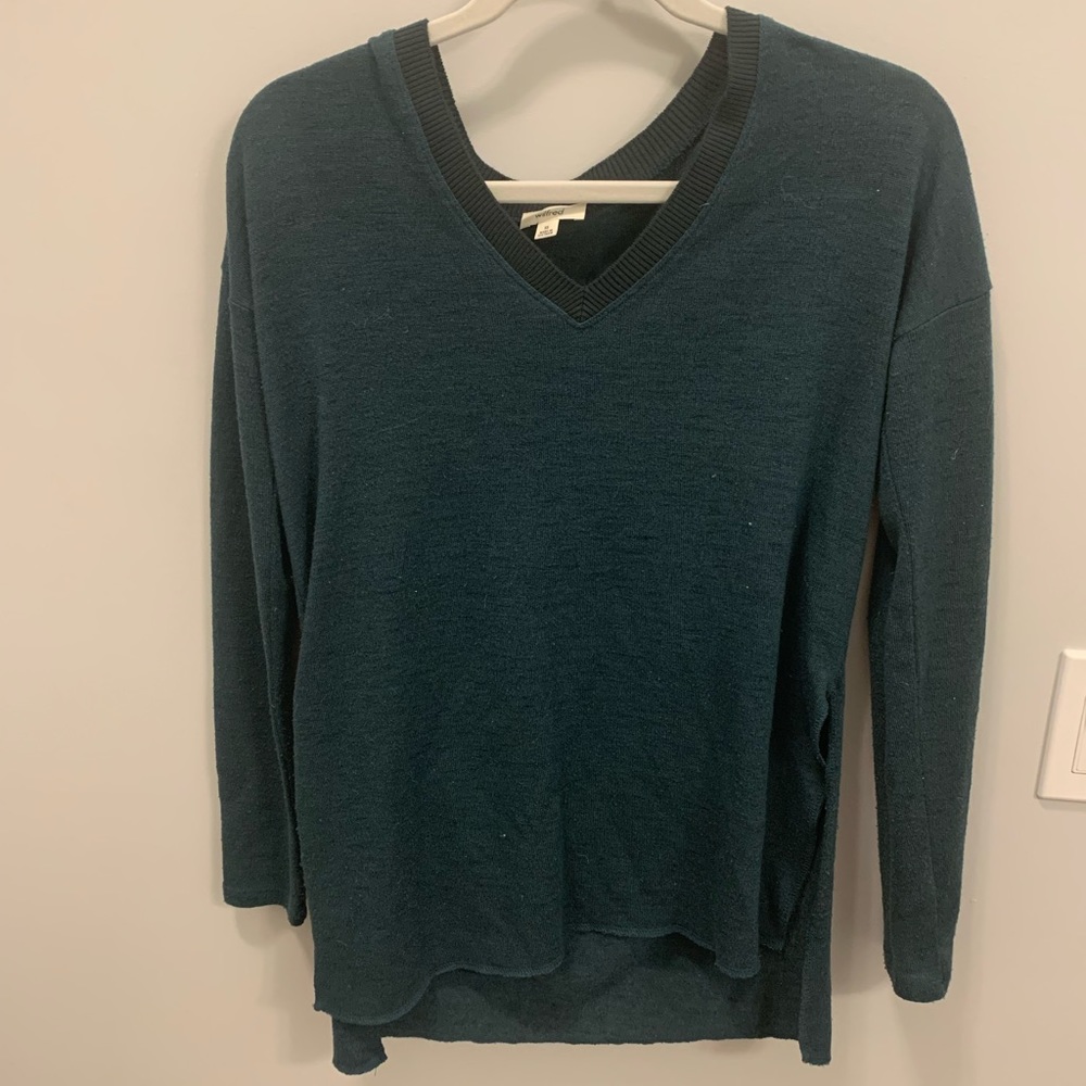 Aritzia Sweater
